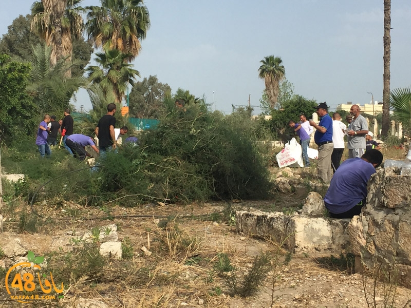 7amla lud maqbara (12).jpg